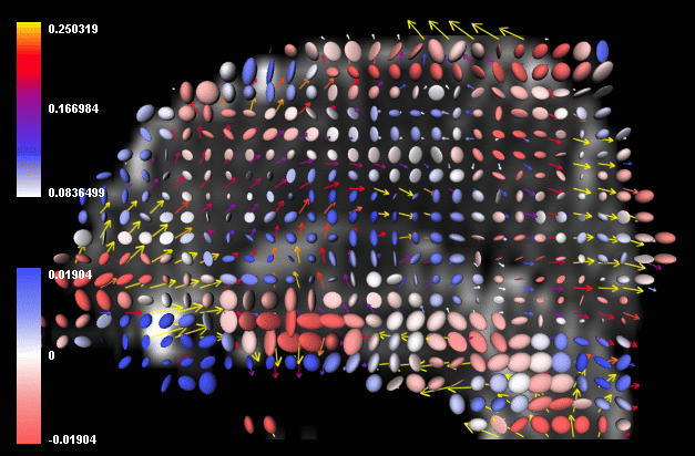 301 - rate of strain tensor display