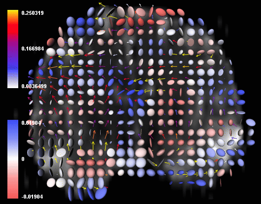 301 - rate of strain tensor display